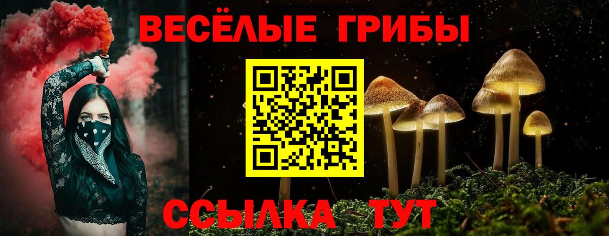 Азов  Псилоцибиновые грибы Psilocybe  Вход с VPN 