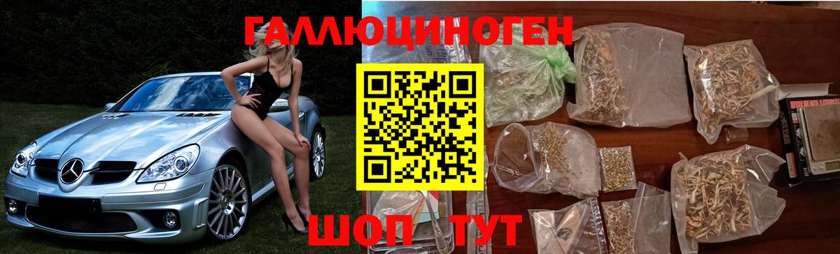 Галлюциногенные грибы Cubensis Азов